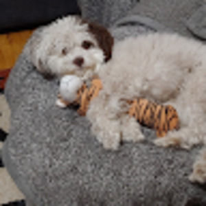 Meet your Posher, Lawrence